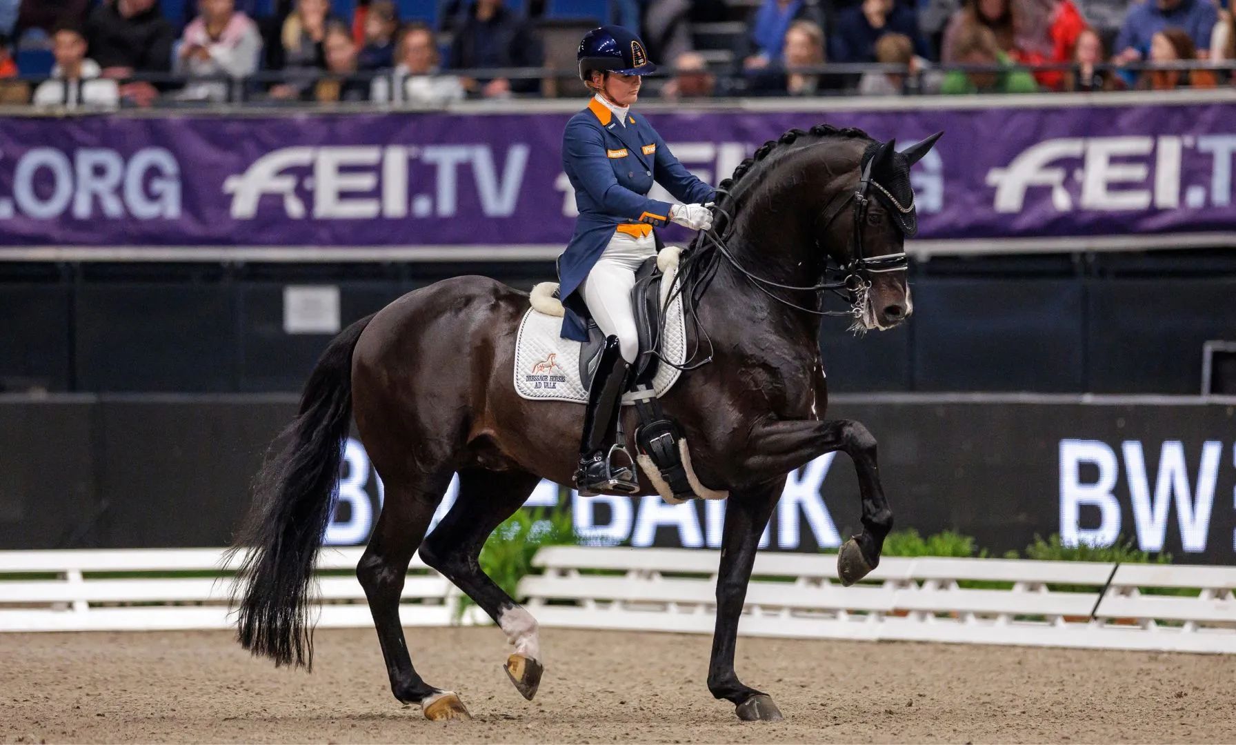Kein einziges Grand-Prix-Pferd im NOP-Programm – Stillstand im niederländischen Dressursport?