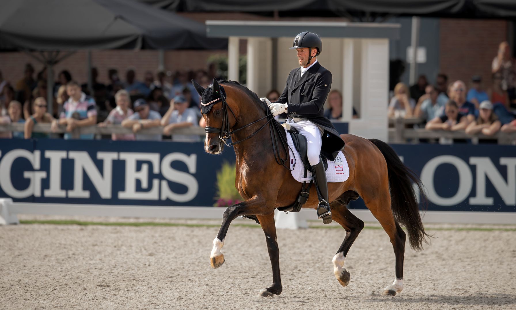 Neuer Geschäftsführer bei Andresen Dressage