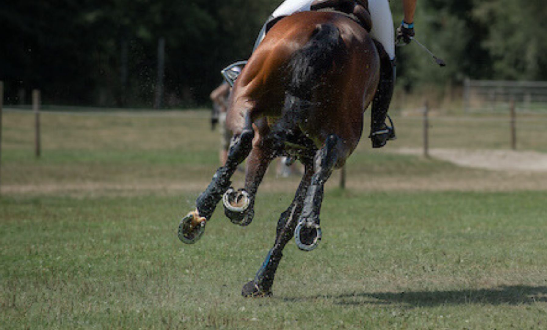 Erfolgreicher Saisonauftakt in Luhmühlen: Hansen-Hotopp und Böckmann siegen in der CCI3*-S