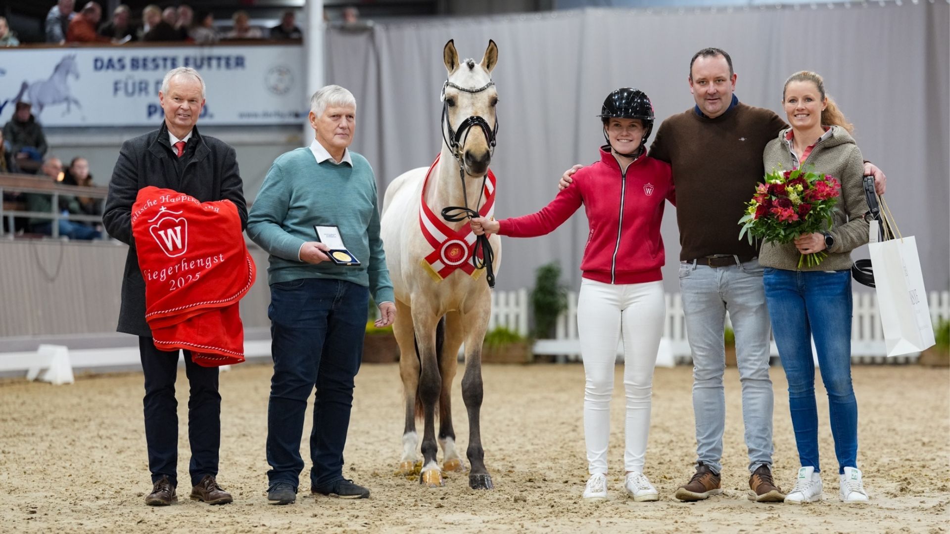 Das Ergebnis der Westfälischen Hauptkörung für Kleinpferdehengste 2025