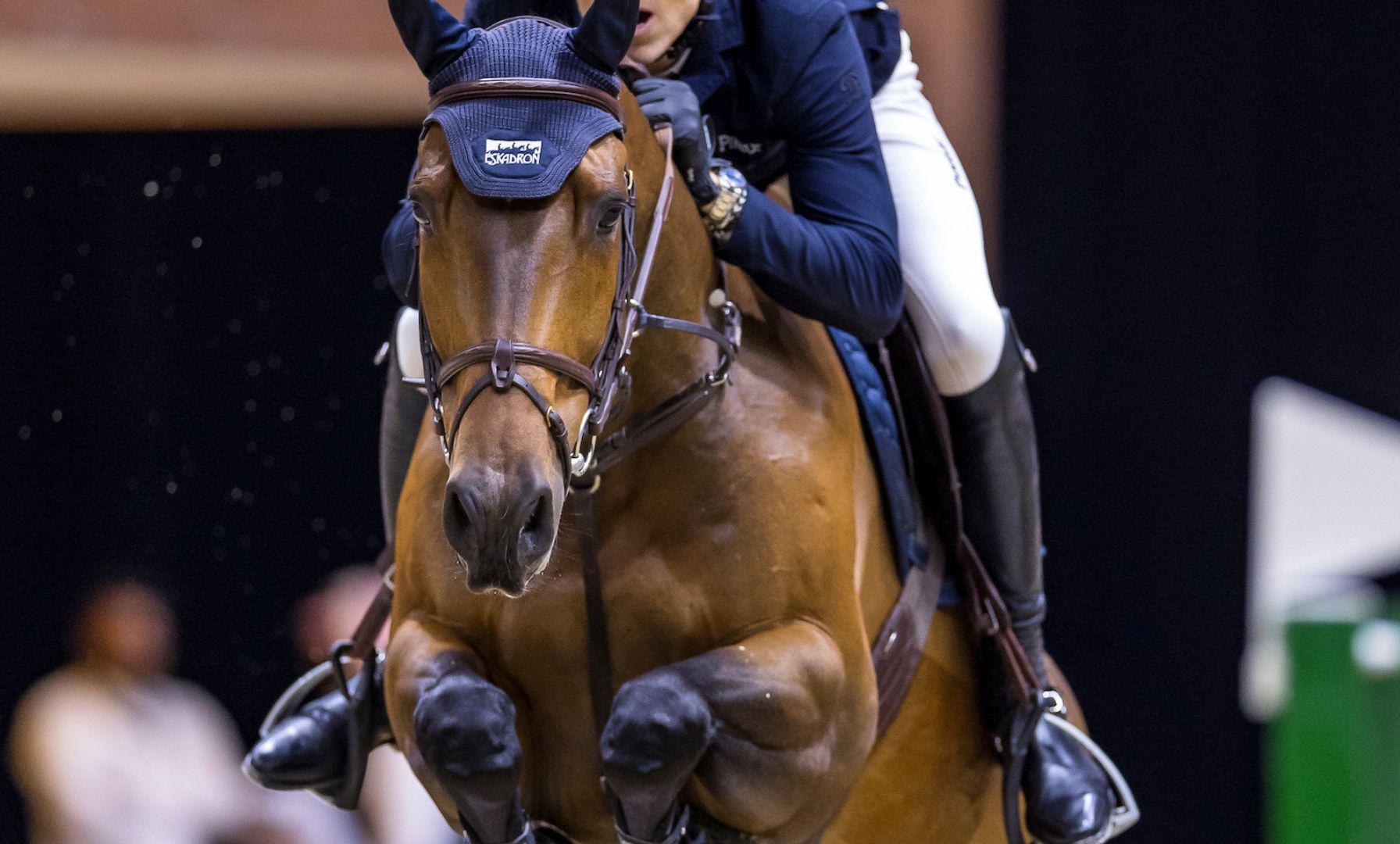 Oken & Lady Lex Steal the Show in $62,500 Vogel CSI2* Grand Prix