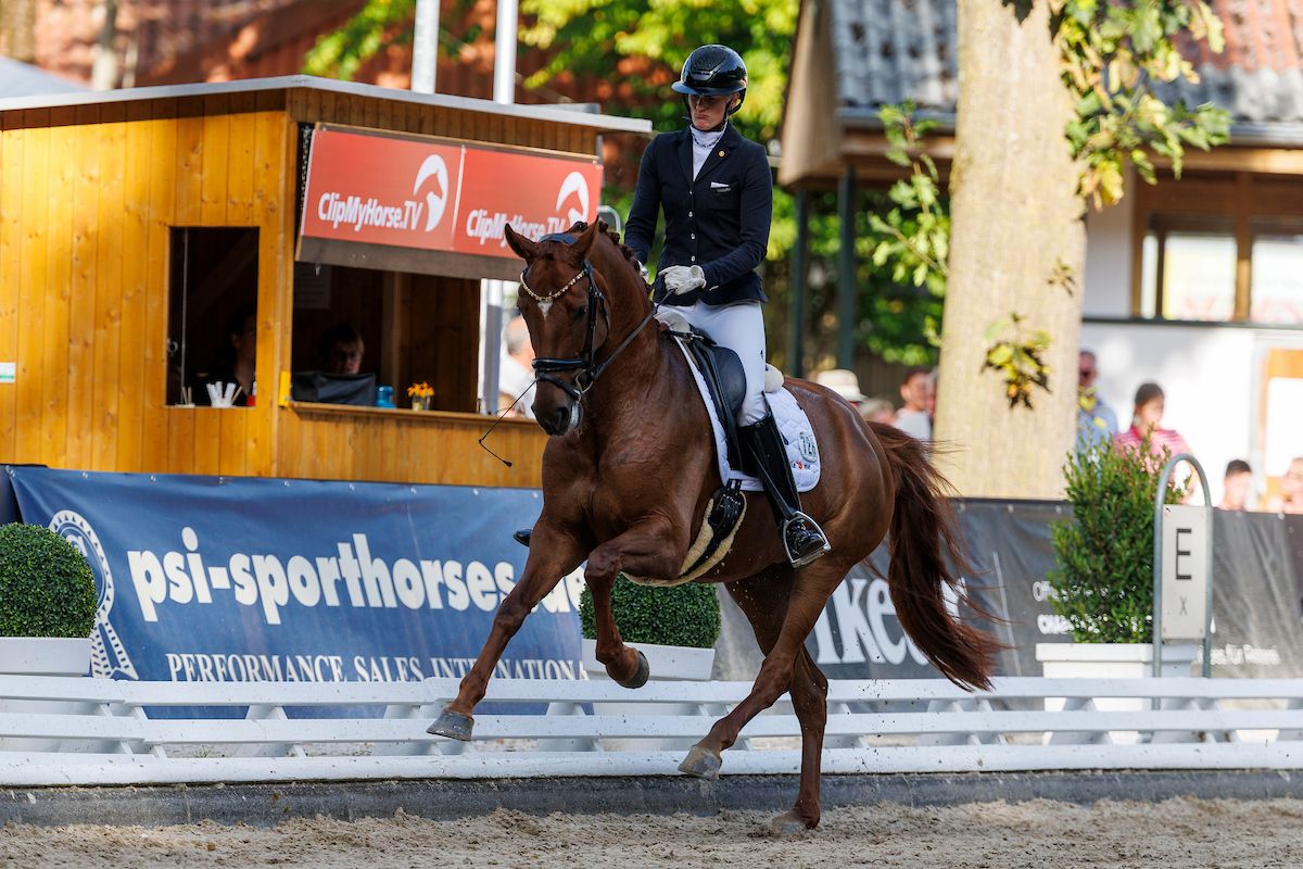 Bundeschampionat-Finalistin Saluna W OLD verkauft