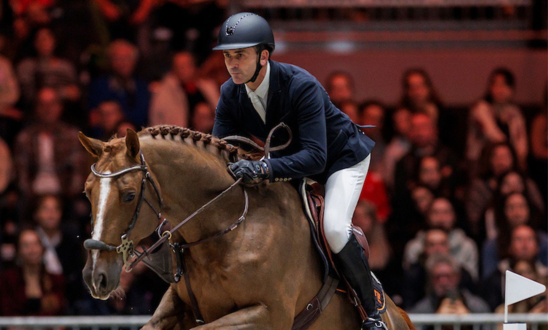 Französisches Springtalent Falko de Hus stirbt nach schwerem Sturz
