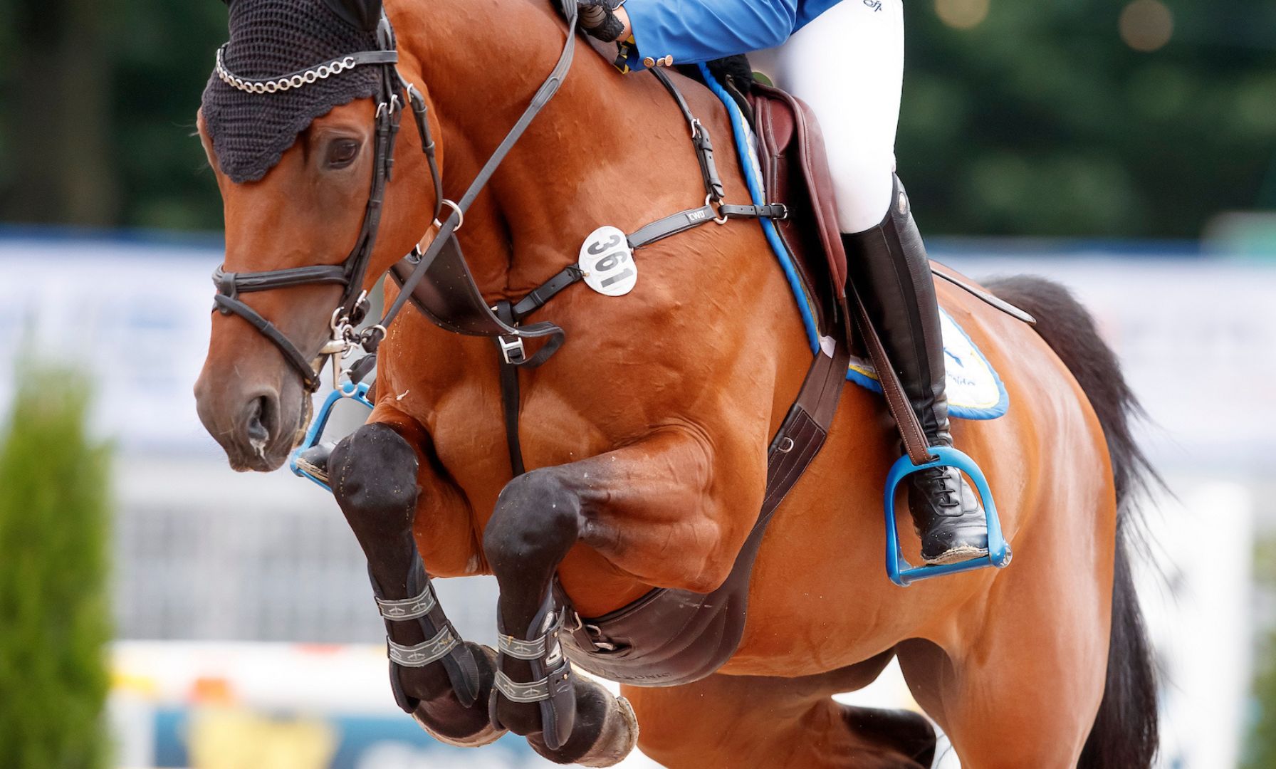 What to Watch This Week: Top Equestrian Events Across North America
