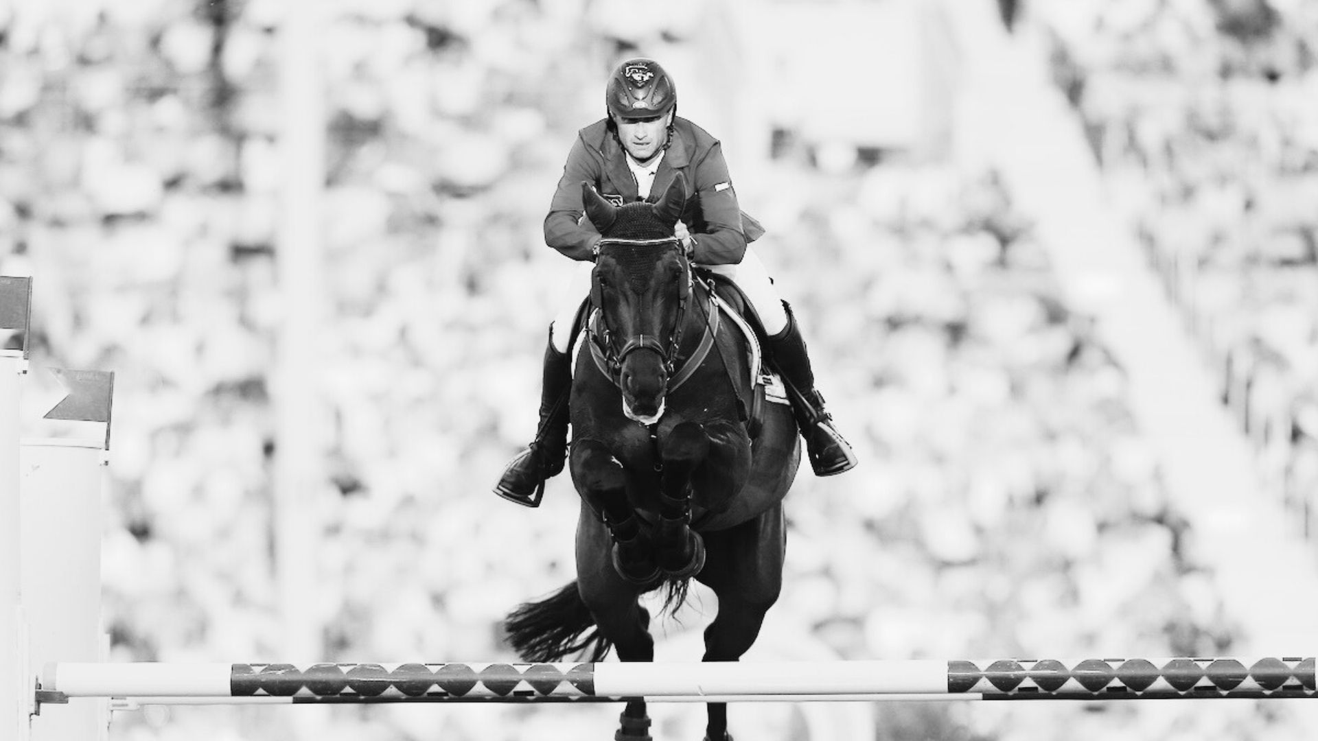 All Inclusive NRW verstorben: Ein Abschied von einem großen Springpferd