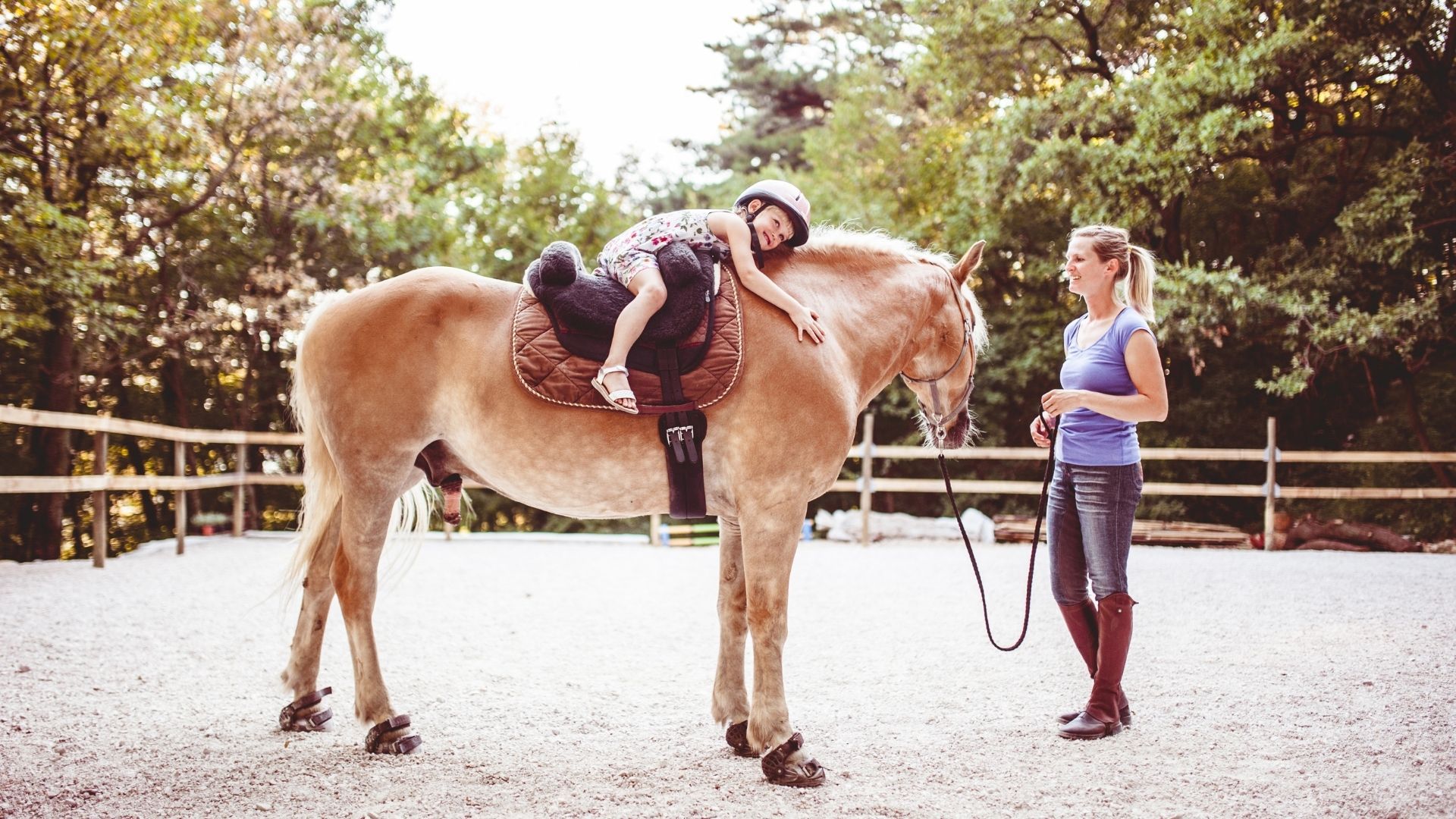 Schulpferde im Fokus: Erste Bilanz der FN-Förderinitiative
