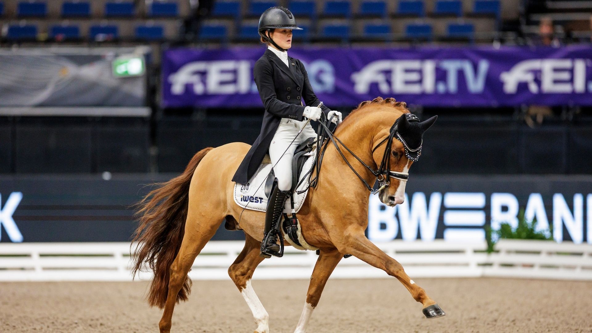 Ann-Cathrin Rieg gewinnt die Einlaufprüfung der DERBY Stars von Morgen auf Gut Ising