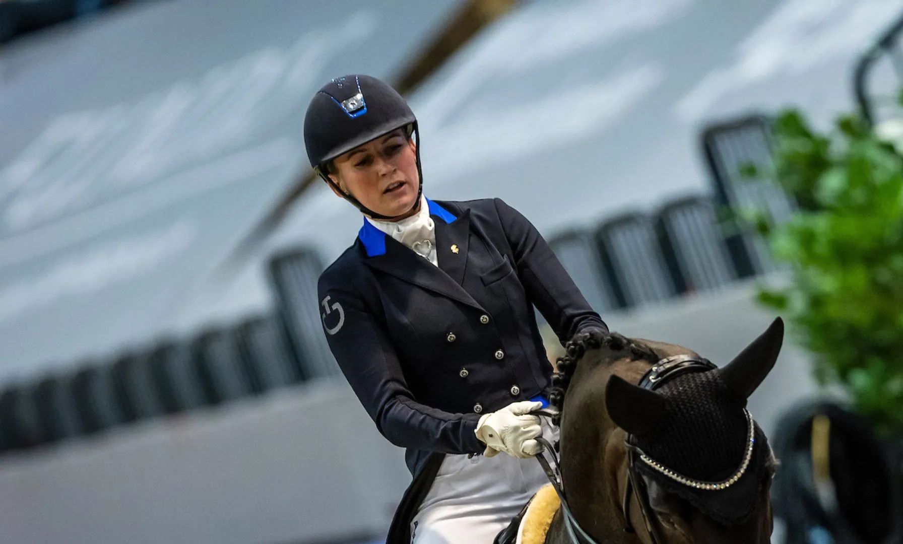 Blue Hors St. Schufro muss verletzungsbedingt pausieren