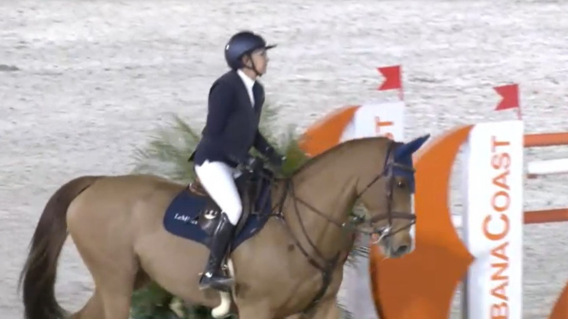 Laura Kraut and Una Mariposa Win Friday's MLSJ Speed Class