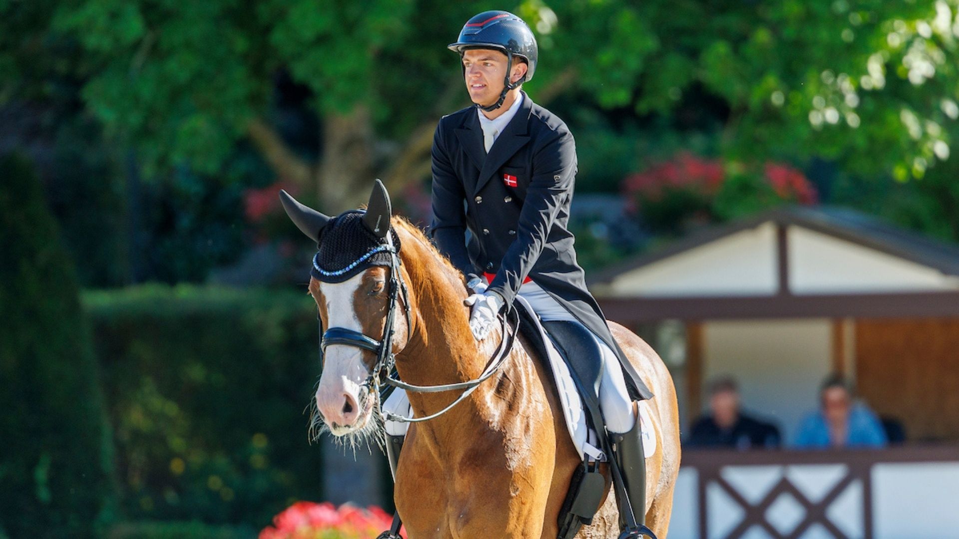 Helgstrand siegt in Herning – Brunkhorst beste Deutsche im CDI3* Grand Prix Special 
