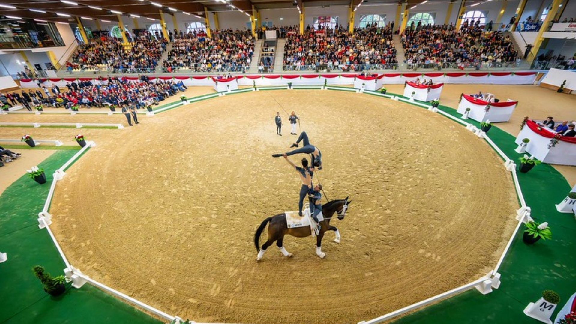 Weihnachtsspecial: Ein Jahr der Erfolge im Voltigiersport