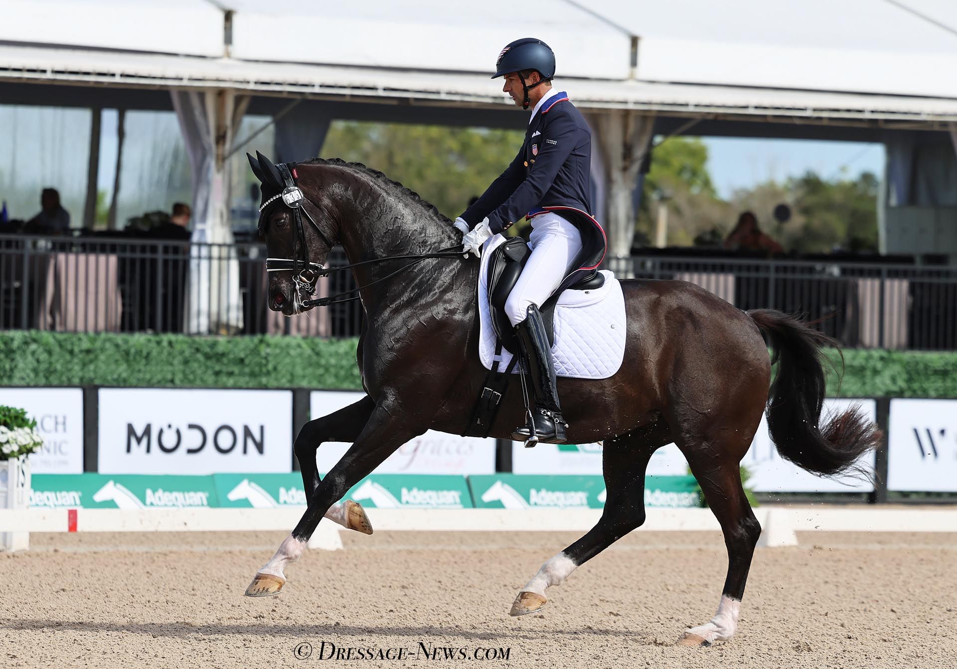 Marcus Orlob on Jane Clear Winner Wellington CDI3* Grand Prix