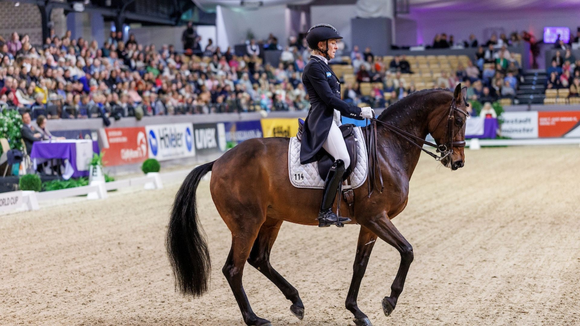 Weltcup-Stop in Mexico für Evelyn Eger, Ingrid Klimke und Matthias Alexander Rath