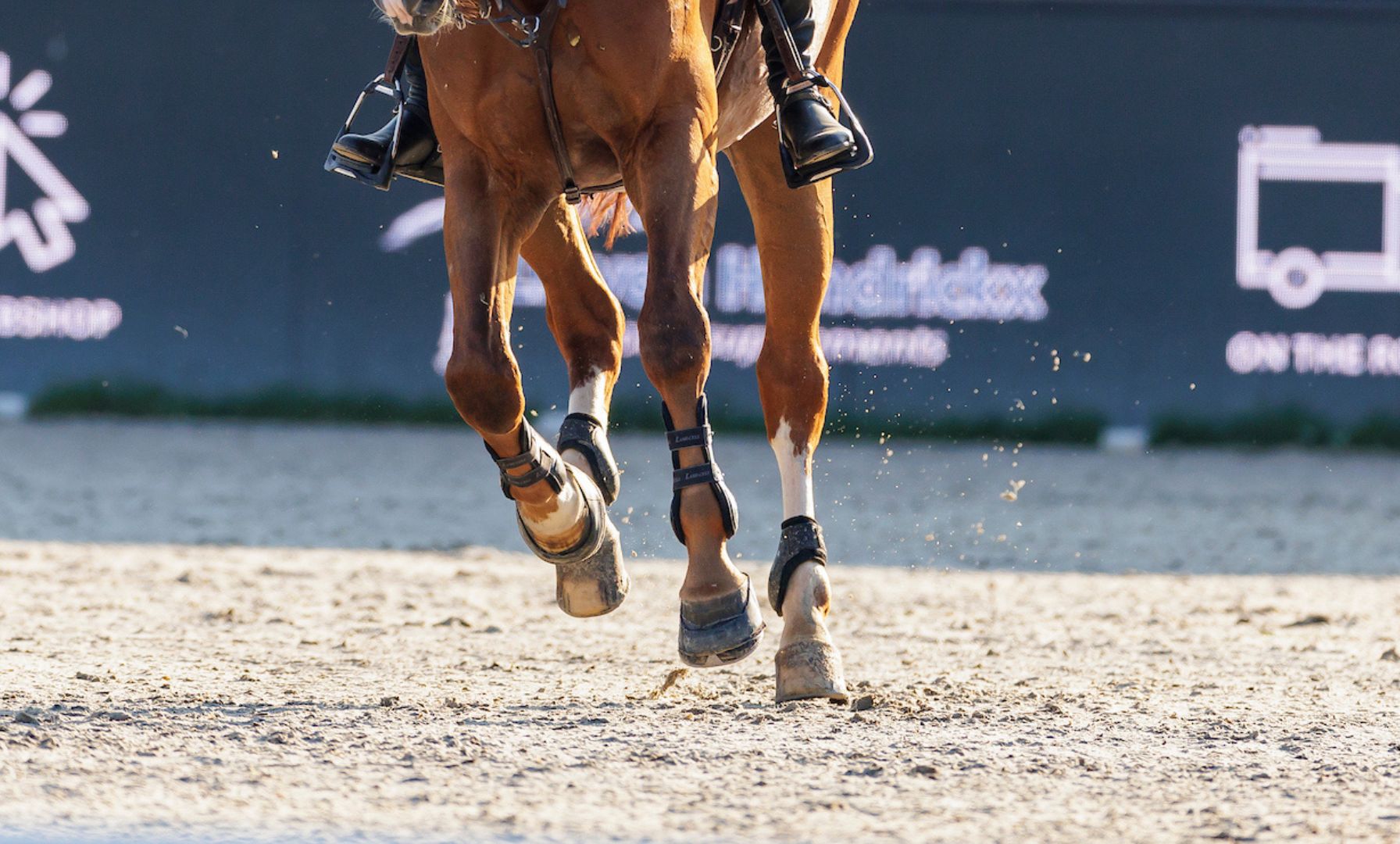 Lauren Balcomb and Verdini D’houtveld Z Fly to Victory