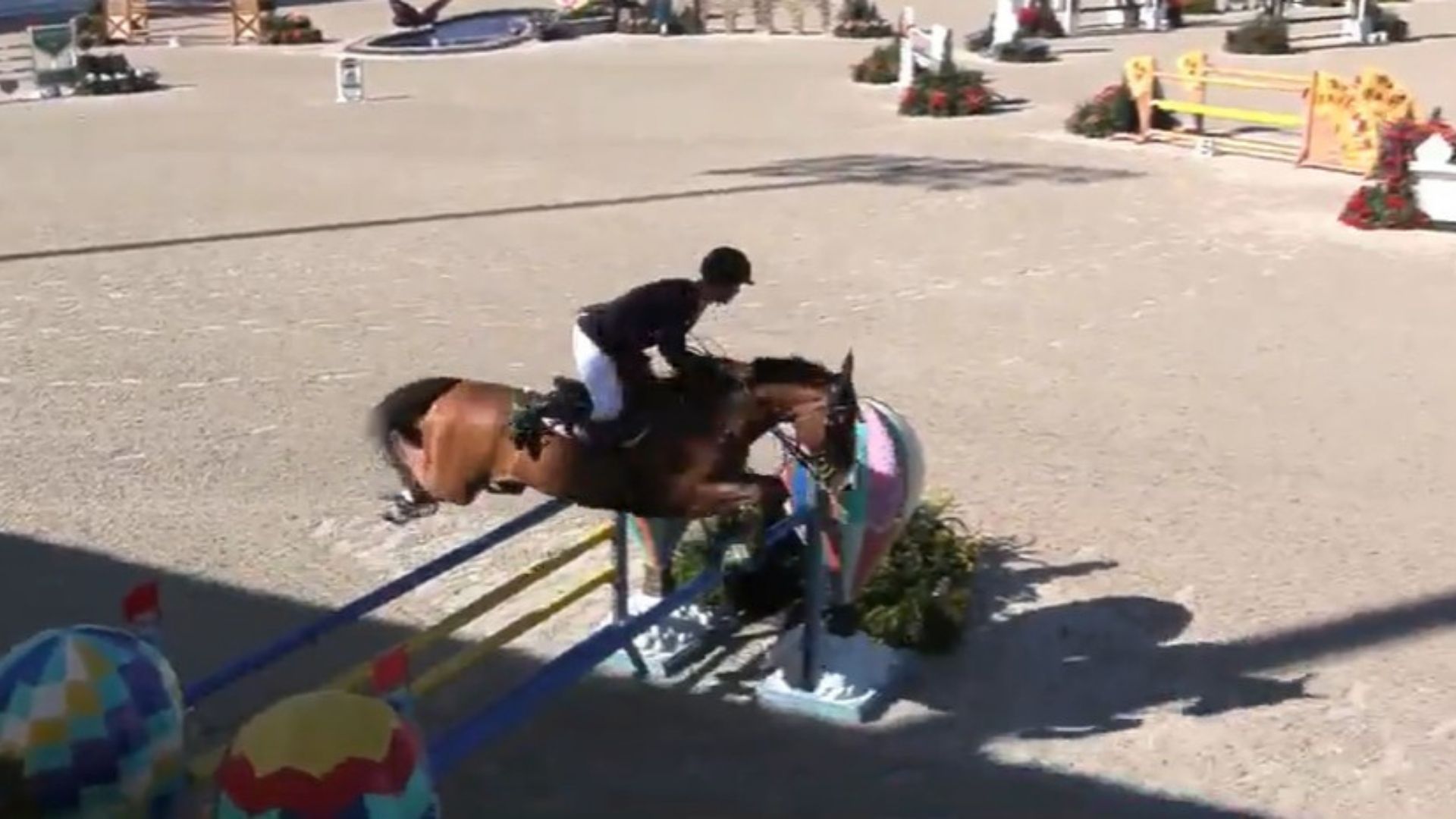 Tony Stormanns and RMF Cinnamo Win Another CSIU25 Grand Prix at WEC