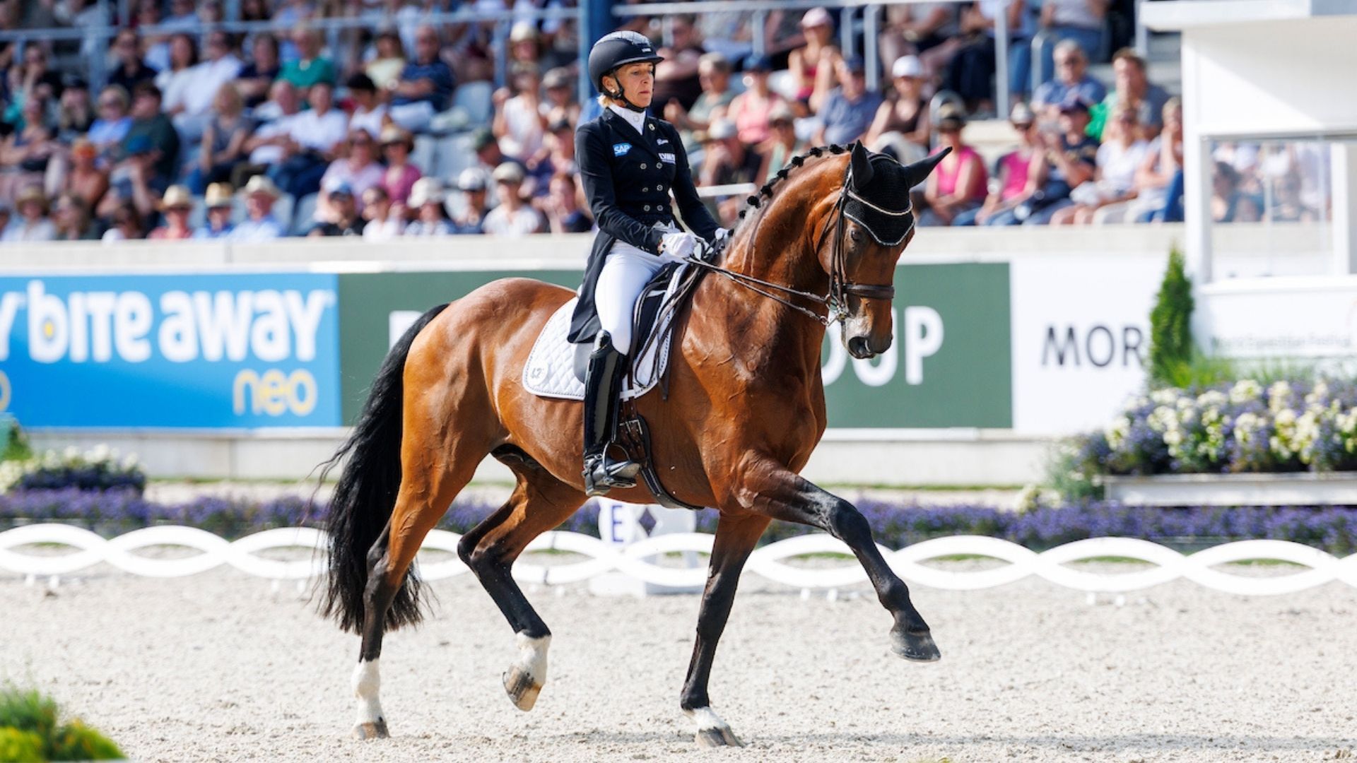  Werth, Wandres, Klimke und Hemmer bilden die EM-Equipe für Crozet! 