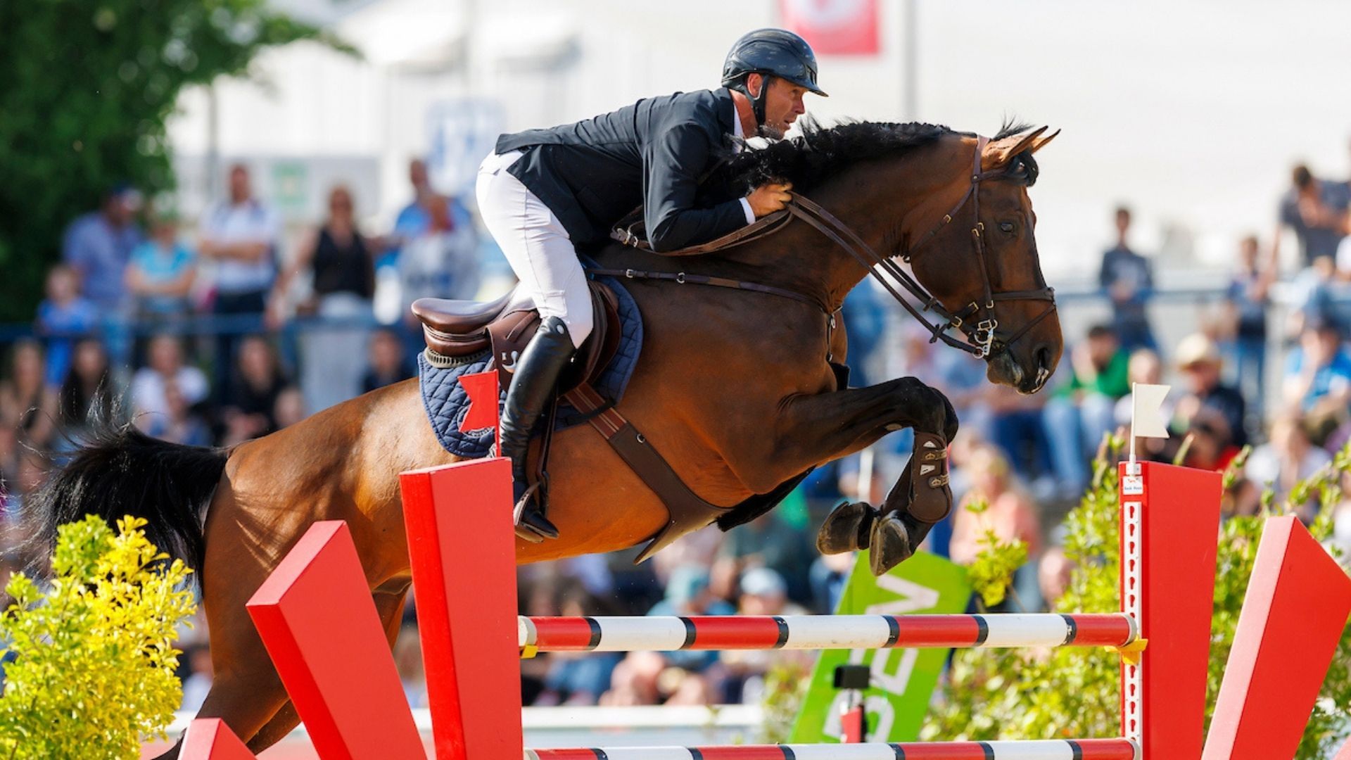 David Will gewinnt auf Xixo Borgia das CSI4* Springen in Riad