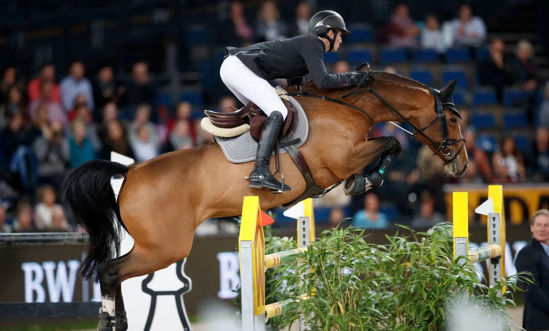 Comeback in Gorla Minore: Steve Guerdat wieder im Sattel
