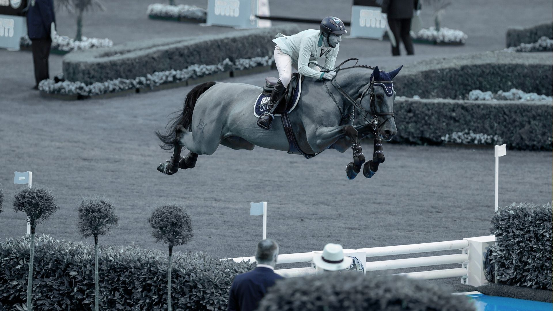 Yuri Mansur trauert um seine Spitzenstute Miss Blue Saint-Blue Farm