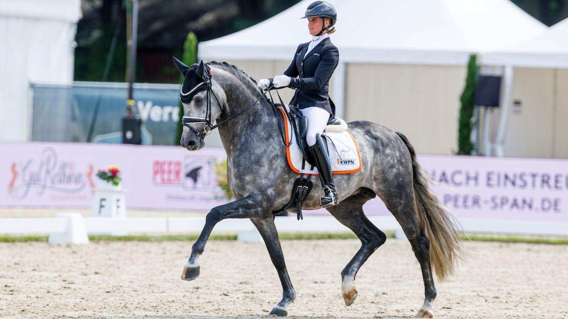 Isabell Werth im Sattel des Weltmeisters Proud James - Schockemöhle & Helgstrand Hengstvorführung