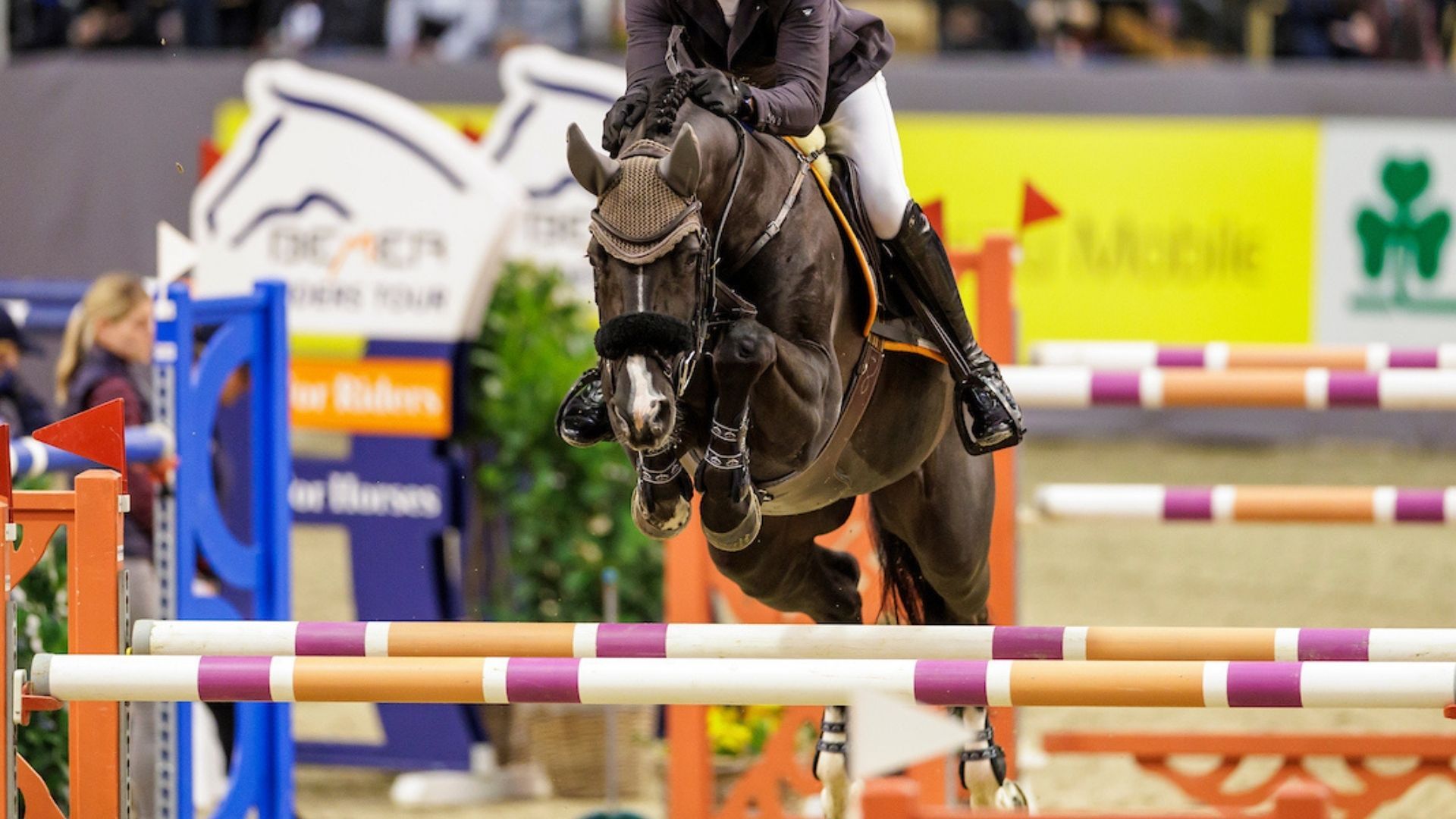 Französischer Dreifacherfolg bei der CSI3*-Big Tour in Gassin - St Tropez