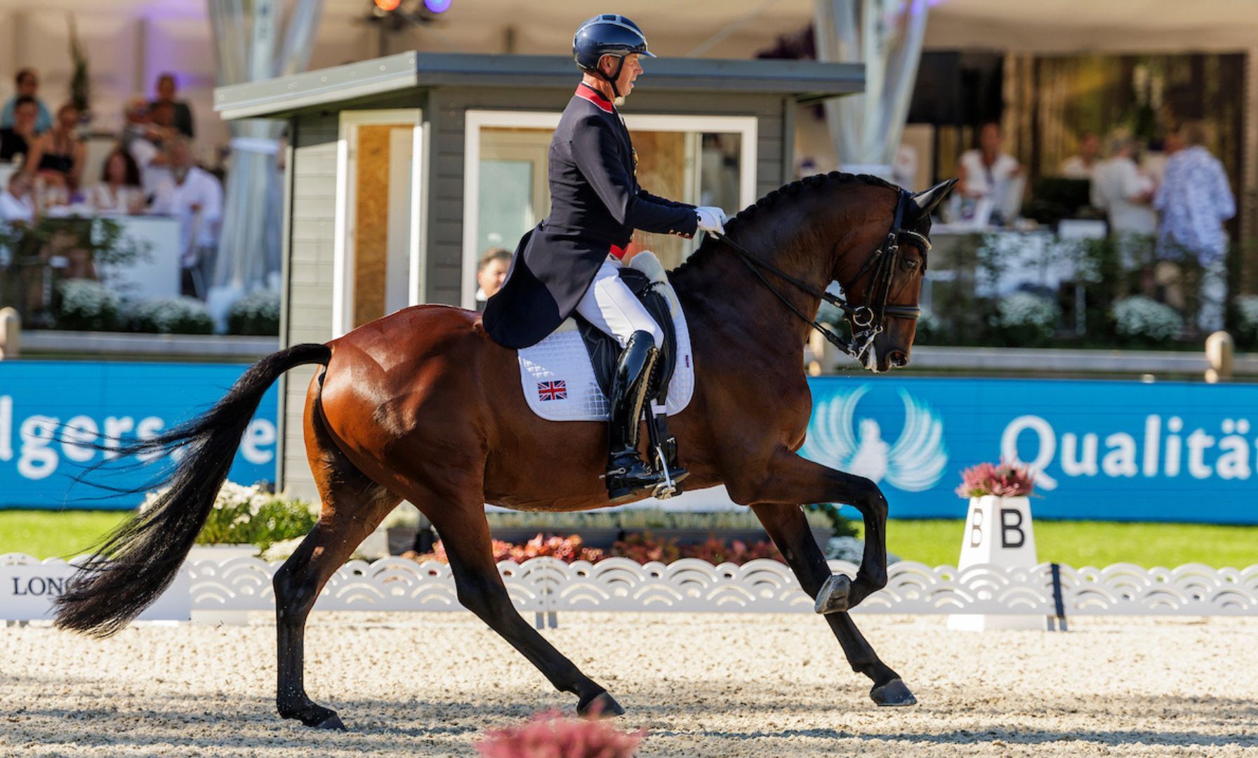 Carl Hester und Fame glänzen beim CDI Wellington