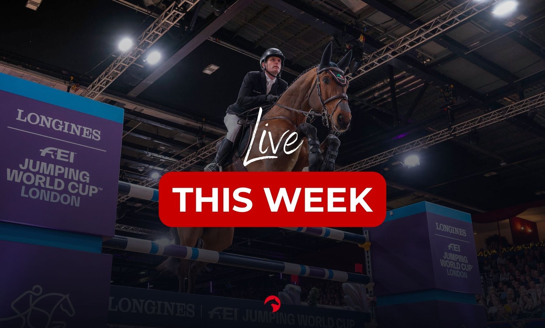 Live This Week: Festive Competition Takes Center Stage Across the Globe