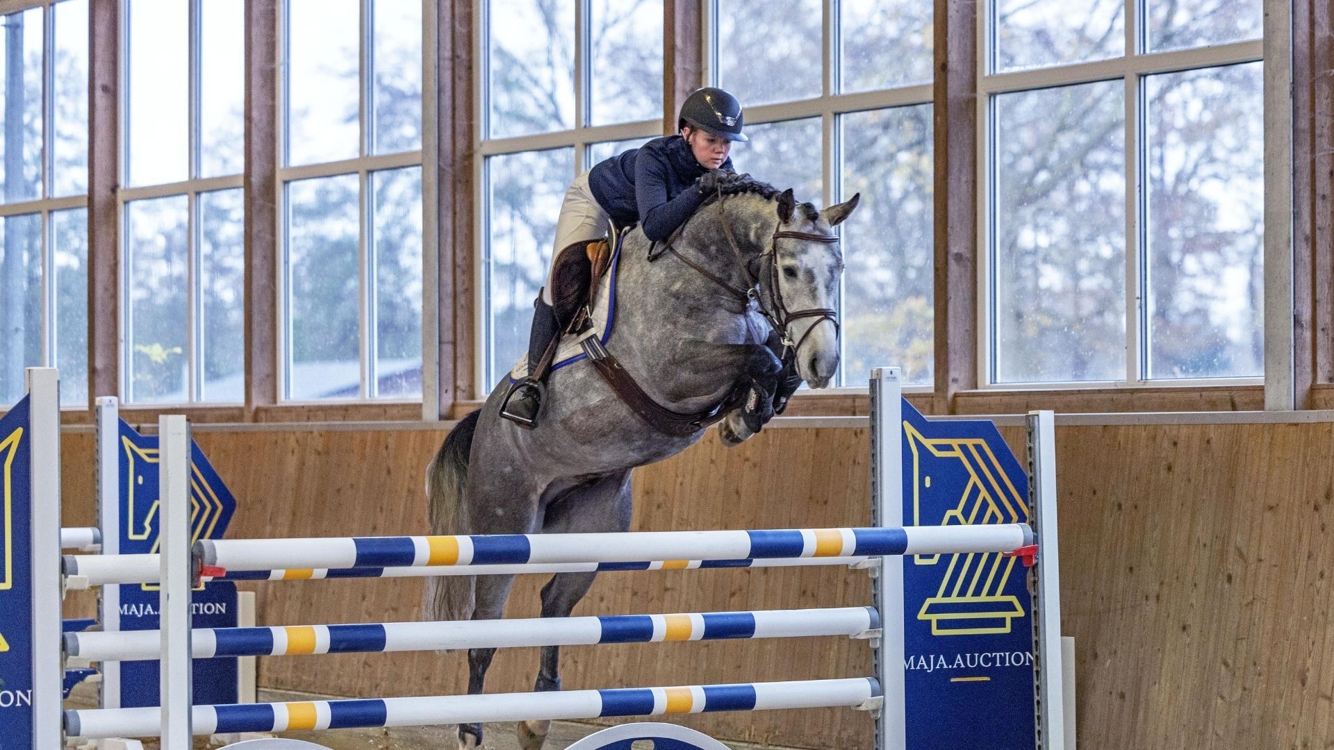 MaJa Sport Horse Auction – Christmas Edition ’25