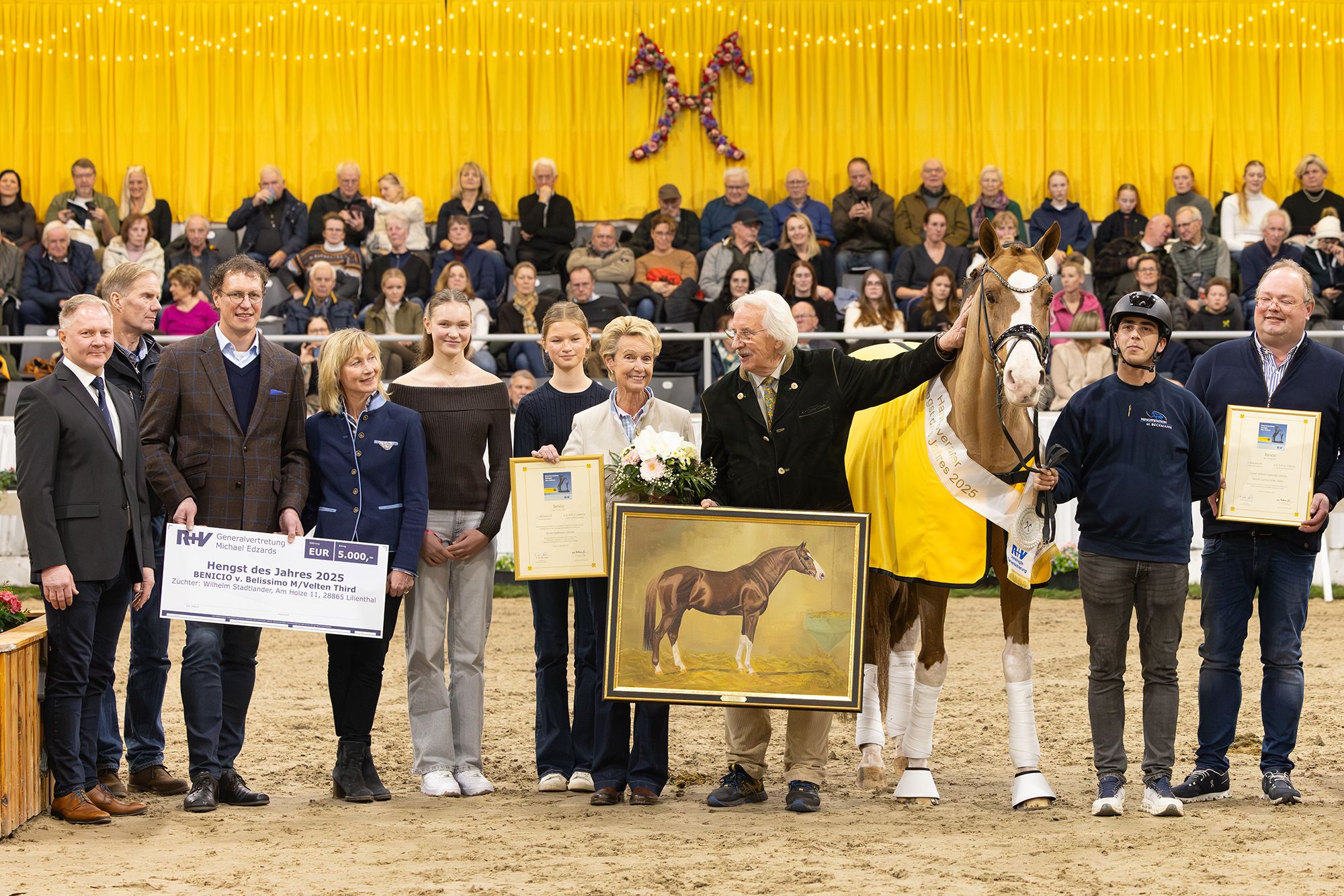 Benicio: Hannoveraner Hengst des Jahres 2025