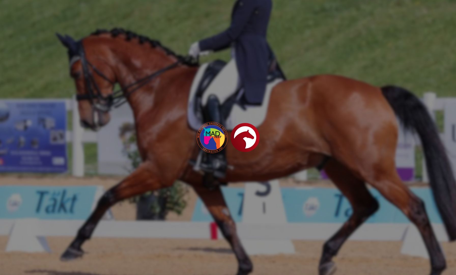 MADFest 2025: Premier Dressage Returns 