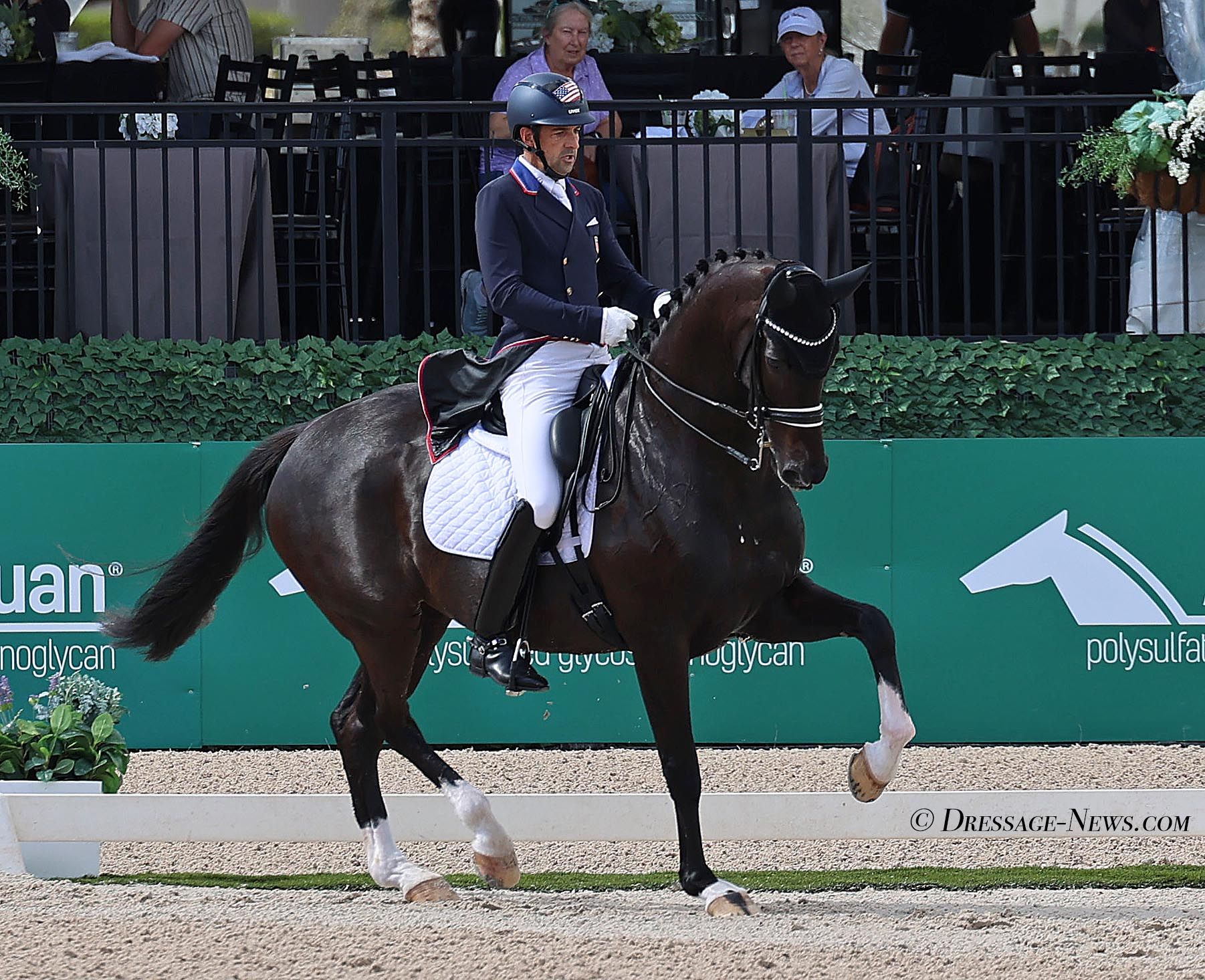 Marcus Orlob rode Jane to personal best score to win Wellington CDI5* Grand Prix Special