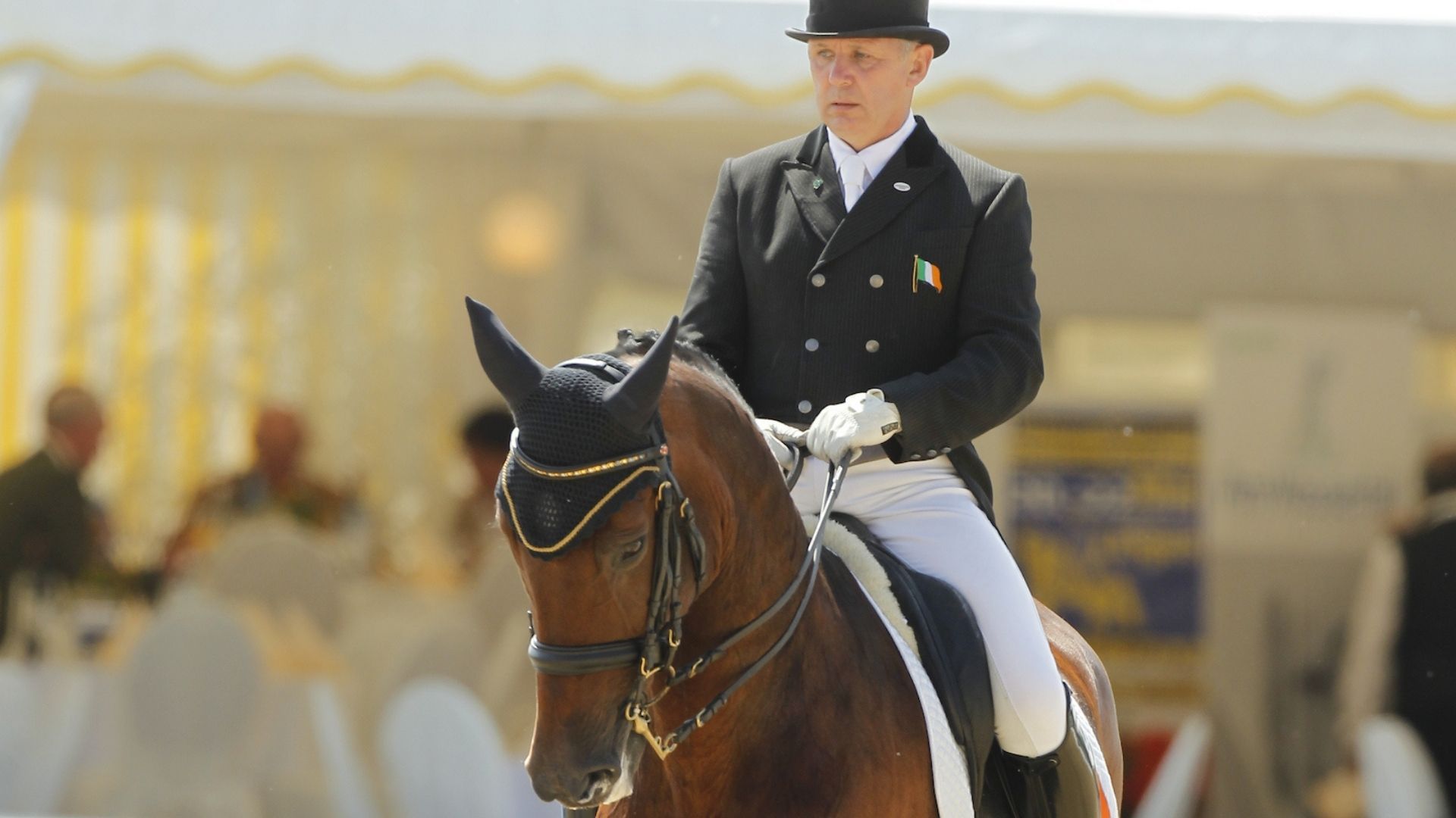 Ein neuer Teamchef für das australische Dressurteam