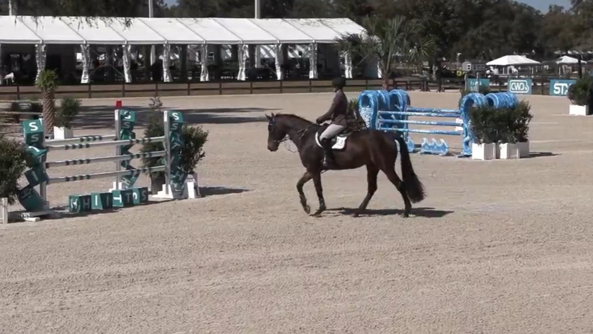Ellie Ferrigno Tops the $15,000 STX Speed Class at HITS Ocala