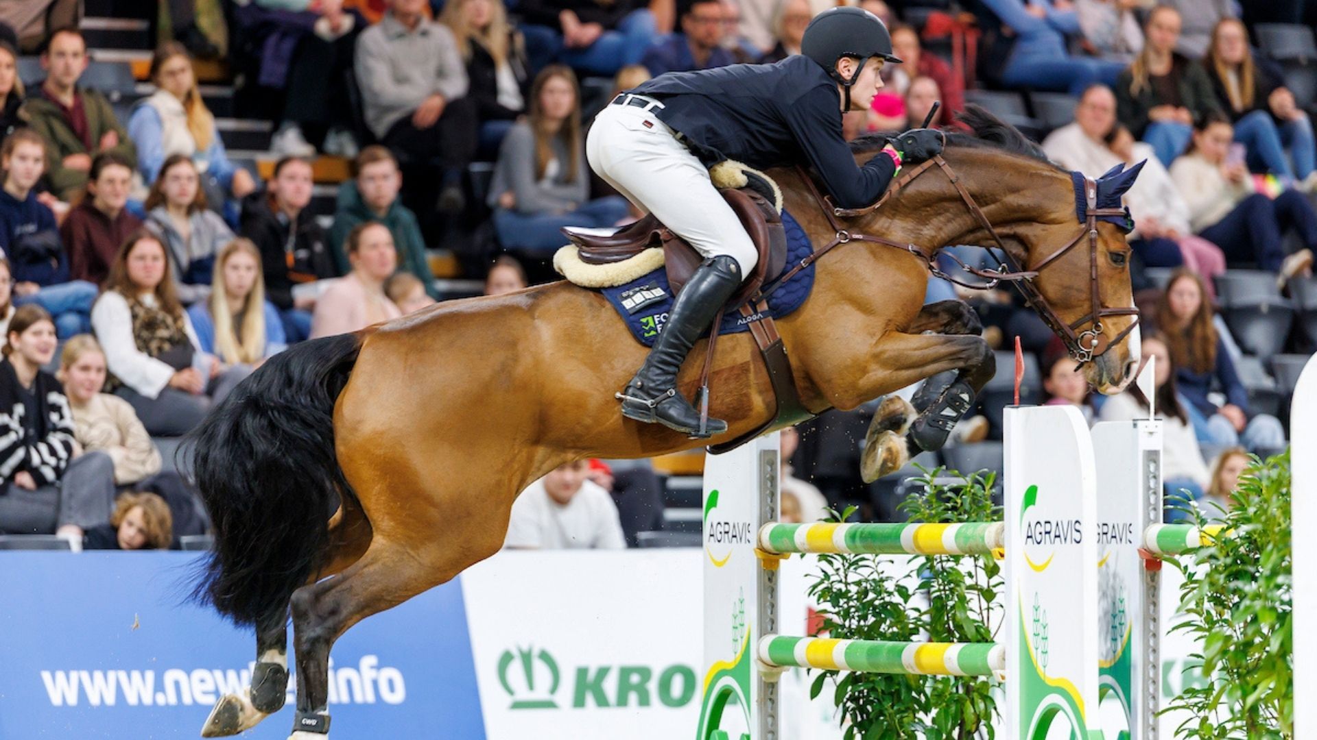 Aachen Jumping Youngstars: Deutsche Nachwuchsreiter kämpfen um Titel