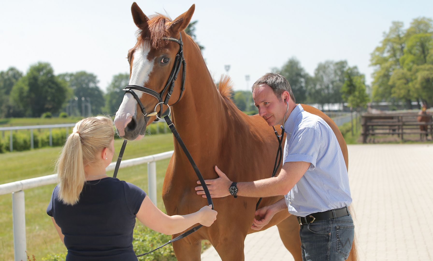 Strangles Confirmed in Florida Horse