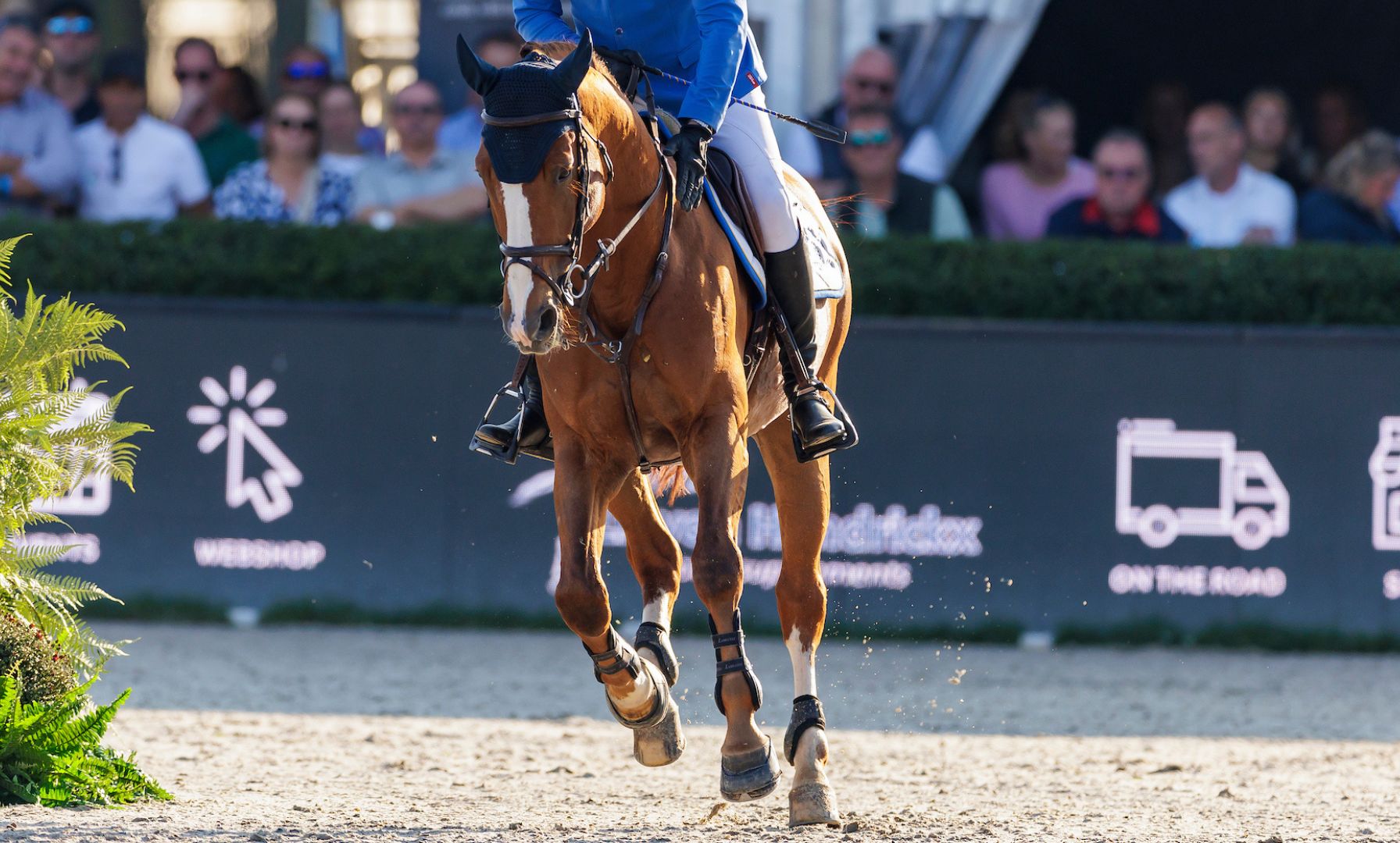Triumphant Return: Callie Schott and Garant Win $117,000 Grand Prix of Traverse City CSIO3*