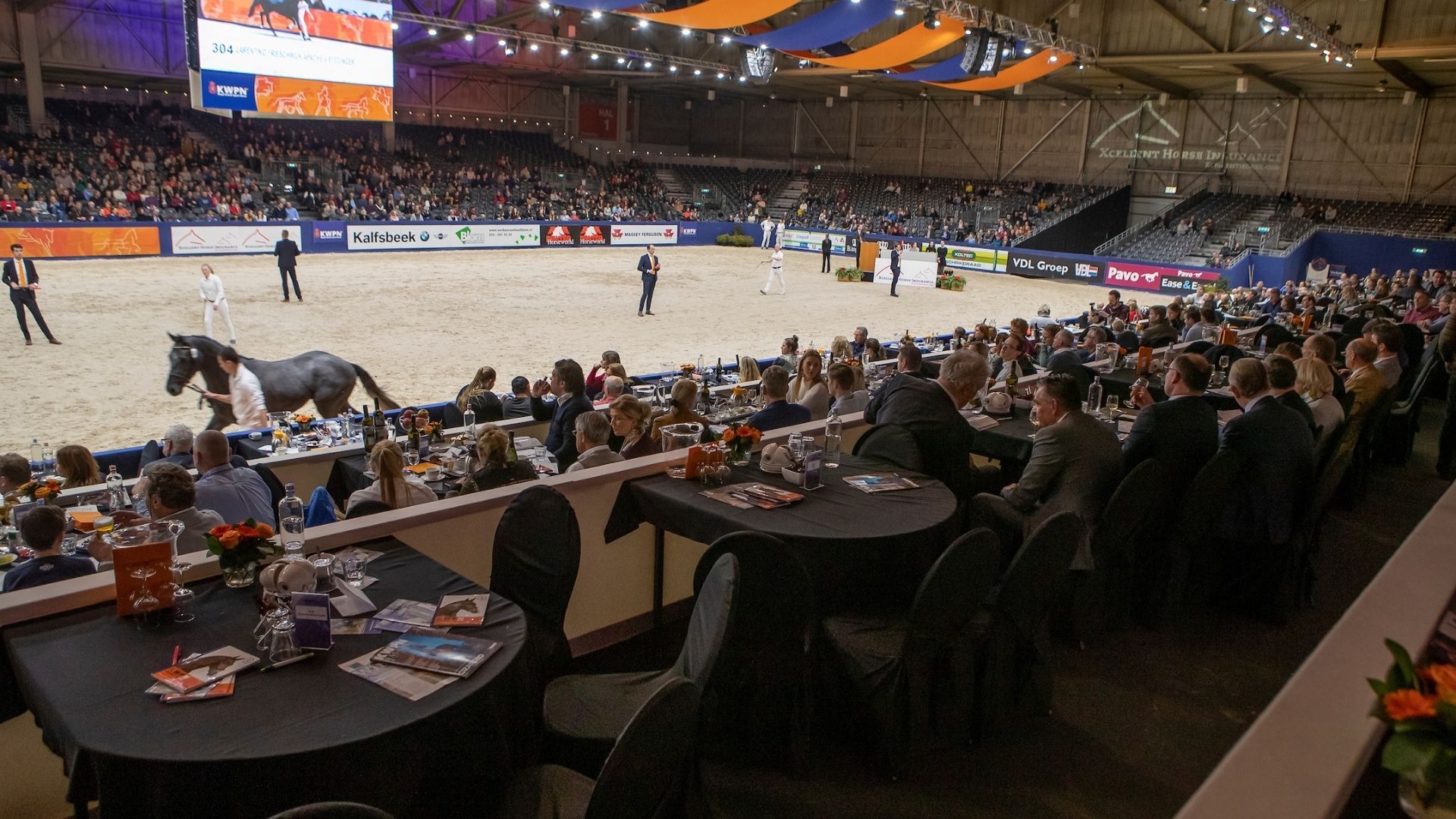  KWPN-Hengstkörung in ’s-Hertogenbosch gestartet