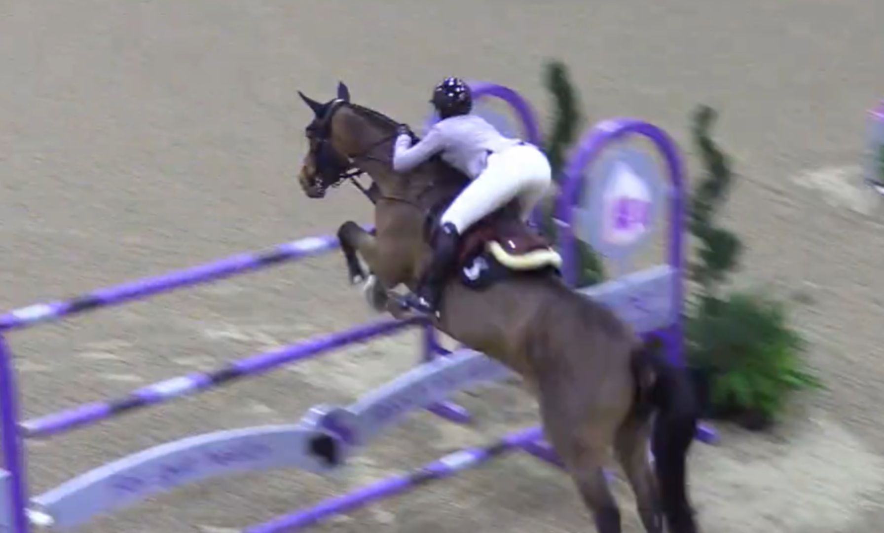 Summer Justus & La Belle SCF Win the Final $30,000 Relyne Grand Prix of the 2025 Midwest Indoors Series