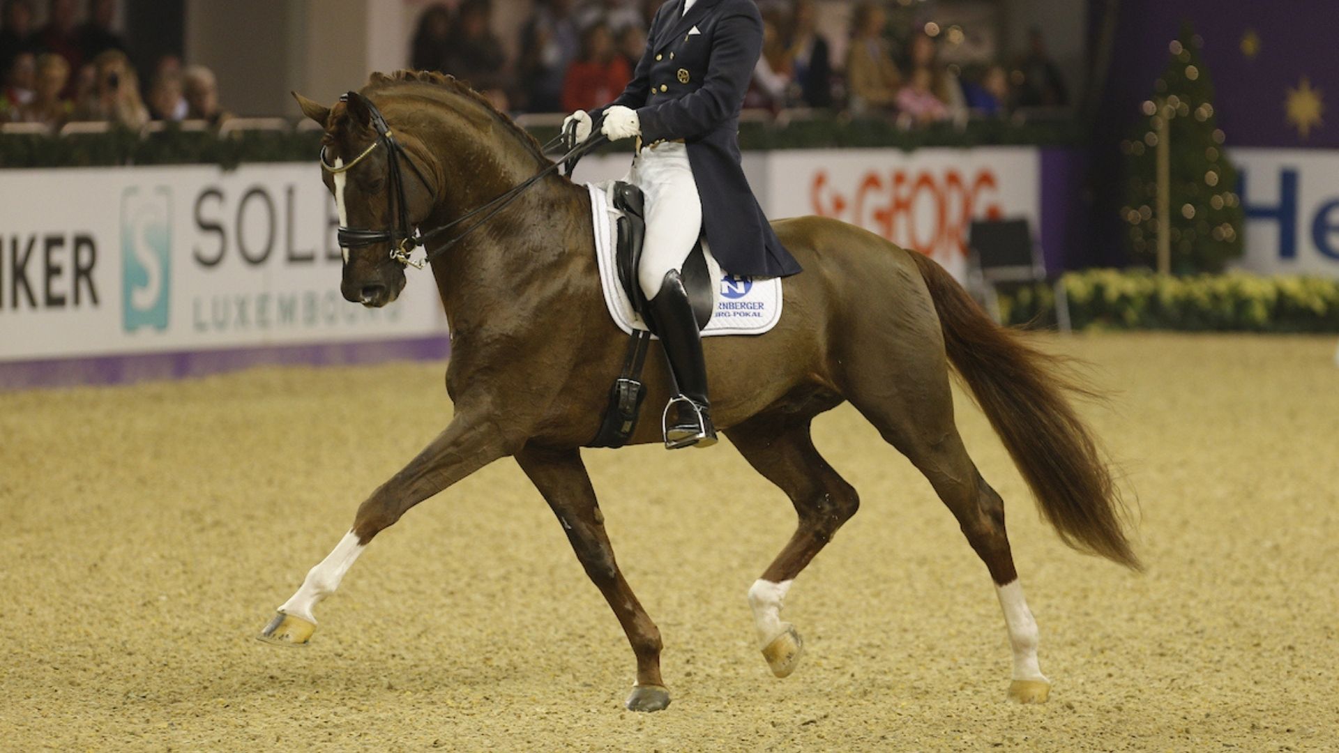Floriscount ab sofort im HuL Marbach