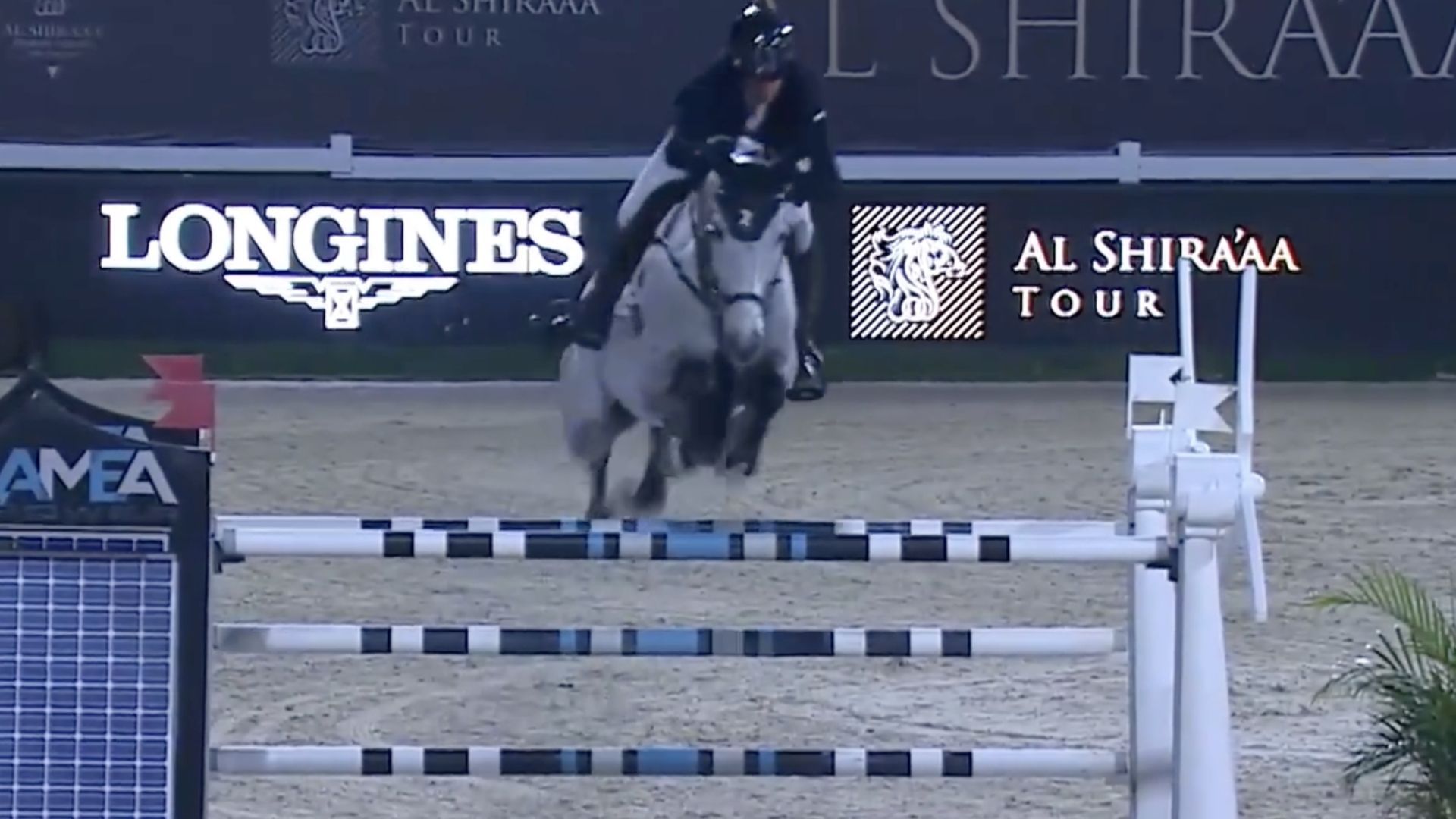 Shane Breen triumphiert in Abu Dhabi