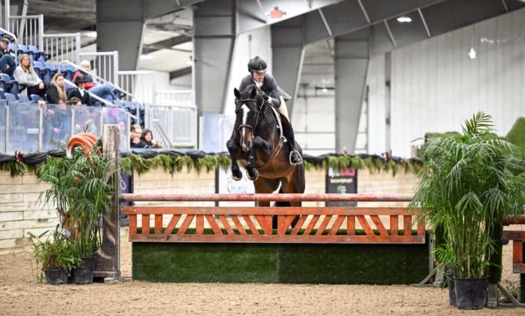 Lauren Underhill and Innamorato Shine in $15,000 Relyne by Hagyard USHJA Hunt-N-Go Derby