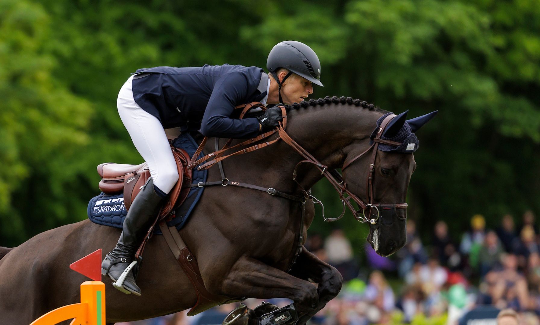 Jef Lauwers and Hallpass Repeat Victory in $30,000 USHJA International Hunter Derby