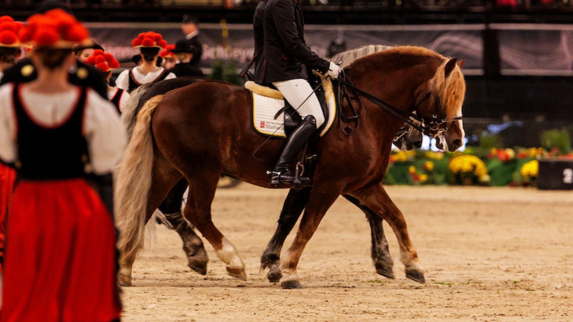 Manfred Weber erhält Graf-Landsberg-Velen-Medaille