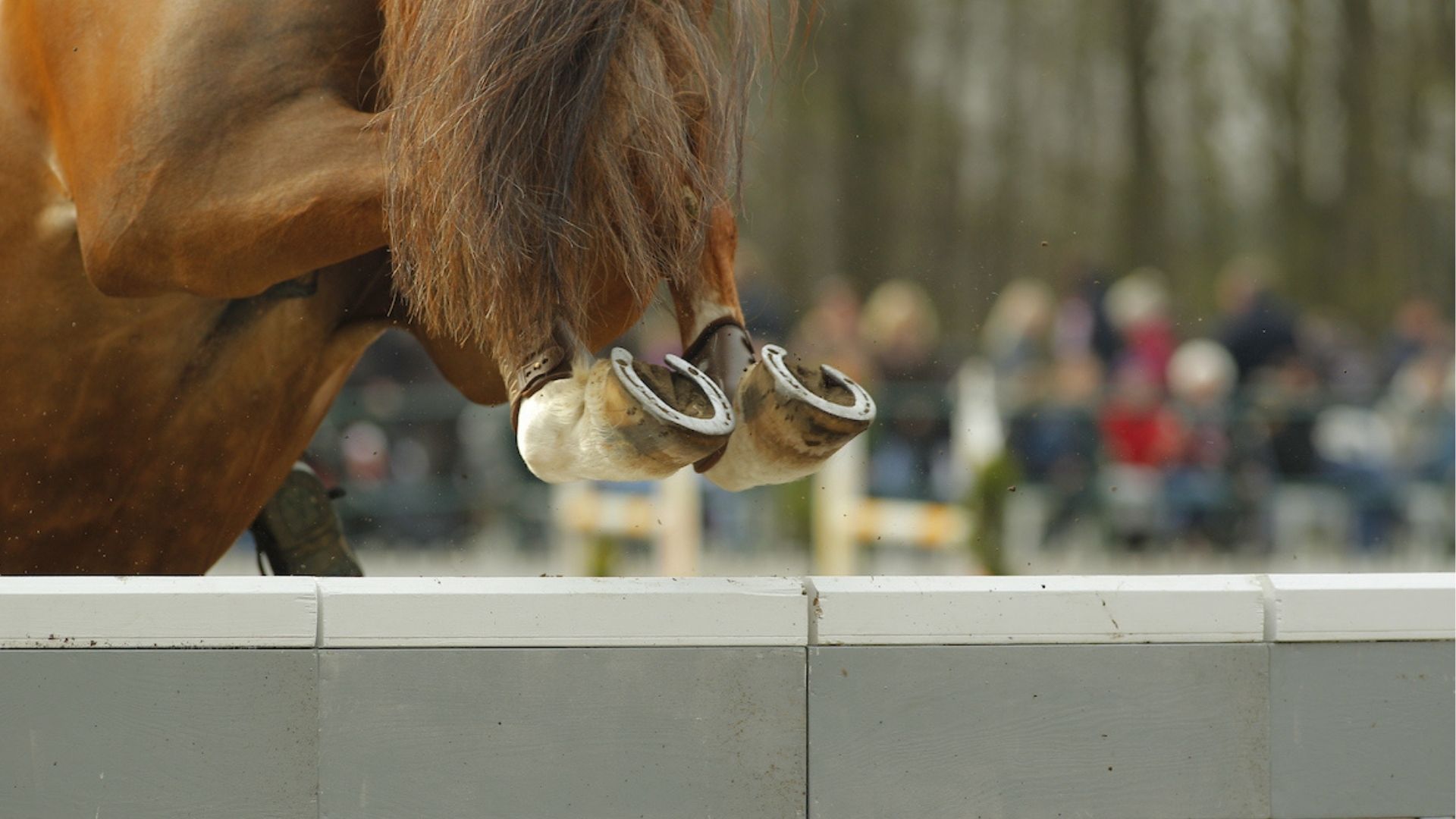 Geplante Springtour in Vilamoura wurde abgesagt