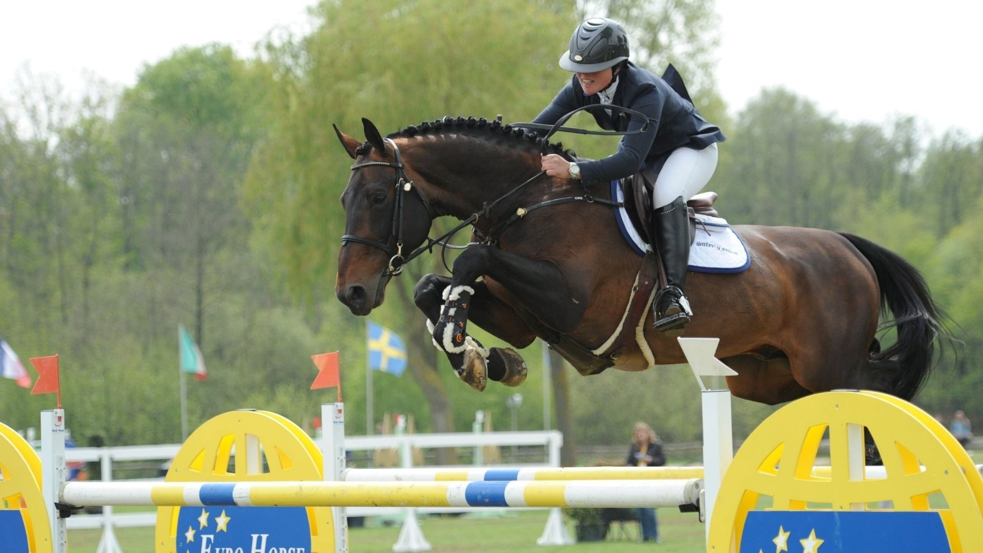 Flanders embryos once again spread across the globe