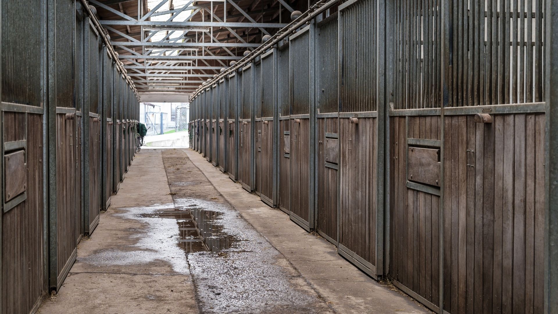Betriebserlaubnis für Reitanlage nach Verurteilung wegen Tierquälerei weiterhin entzogen