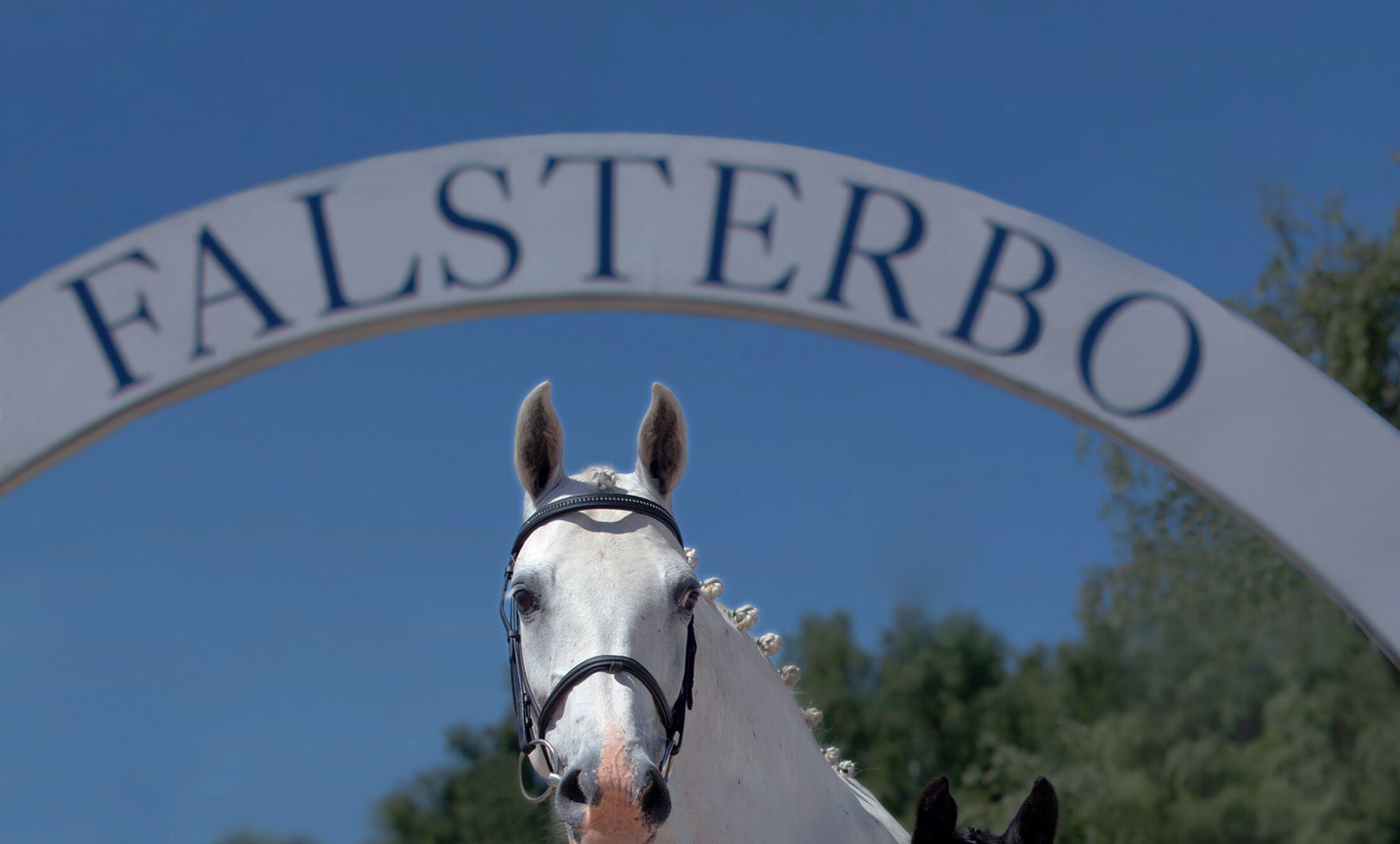 Falsterbo Horse Show beendet Sponsoringvertrag mit Al Shira'aa Stables nach nur einem Monat