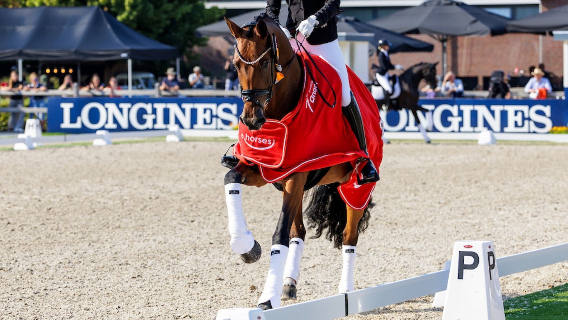 WM-Finalistin Valerie B siegreich unter Patrik Kittel in Ankum!