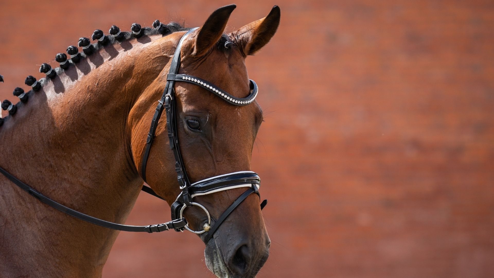 FEI Vorstand tagt in Hong Kong für Generalversammlung
