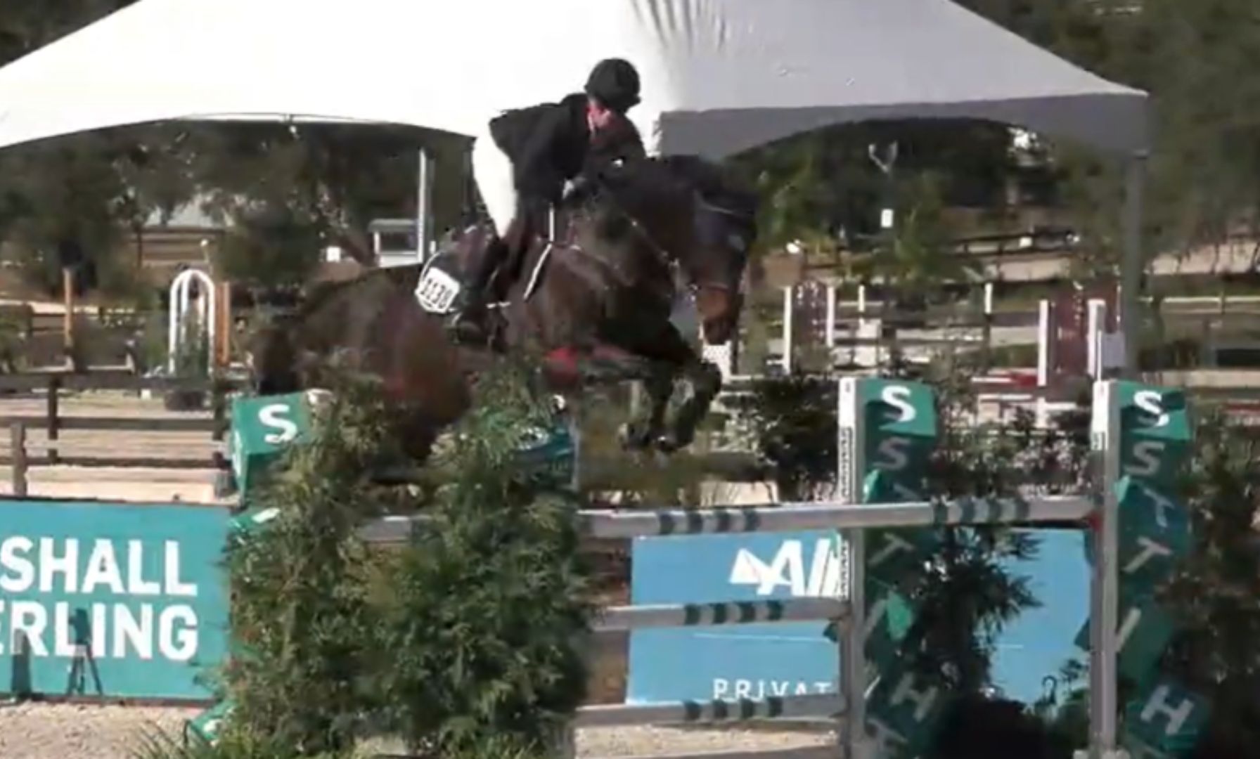 Morgan Ward-Knowlton Dominates the $24,500 FarmVet Grand Prix at HITS Ocala
